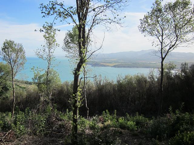 piomb 046.JPG